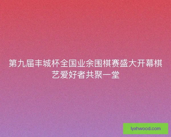 第九届丰城杯全国业余围棋赛盛大开幕棋艺爱好者共聚一堂